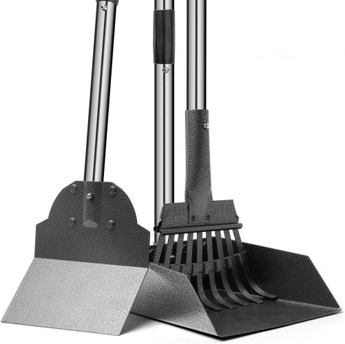 The 10 Best Pooper Scoopers to Buy in 2024 PetMag