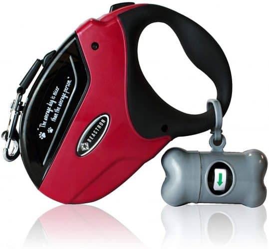 Picture of The 10 Best Retractable Dog Leashes to Buy in 2025 - PetMag