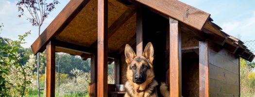 The 8 Best Doghouse Heaters to Buy in 2022