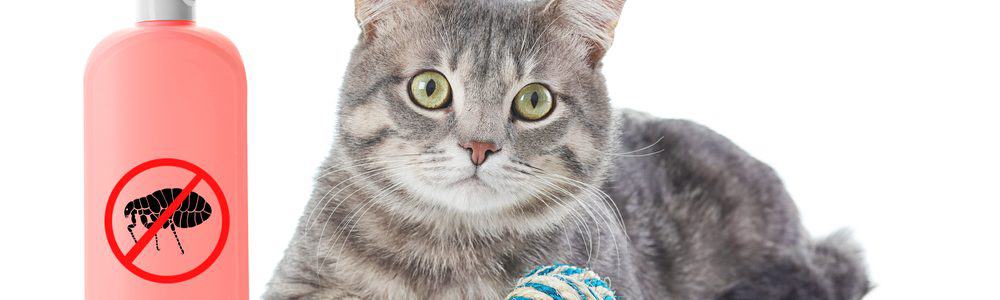 View of The 10 Best Flea Shampoos for Cats in 2022 - PetMag