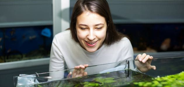 The 10 Best Floating Aquarium Plants to Buy in 2024