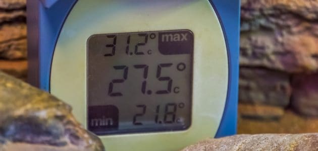 The 10 Best Reptile Thermostats to Buy in 2024