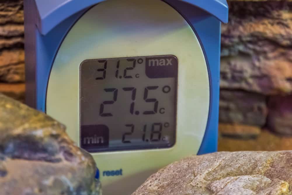 The 10 Best Reptile Thermostats to Buy in 2024 - PetMag