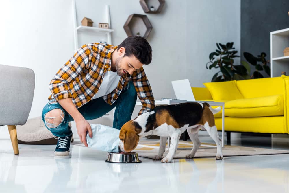 Man feeds his dog while smiling