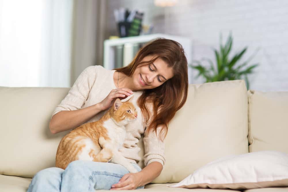 Woman petting a ginger tabby cat on couch