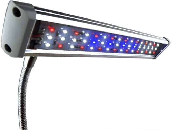 The 10 Best LED Refugium Lights to Buy in 2024 PetMag
