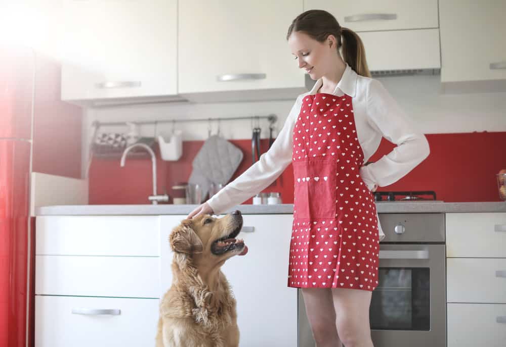 Woman wearing apron in kitchen petting Golden Retriever