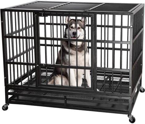 ITORI Heavy Duty Metal Dog Crate