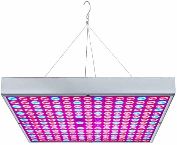 The 10 Best LED Refugium Lights to Buy in 2024 PetMag