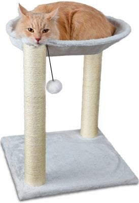 Paws & Pals 3-in-1 Cat Scratching Post with Hammock