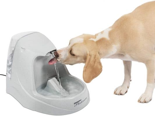 PetSafe Drinkwell Cat and Dog Water Fountain