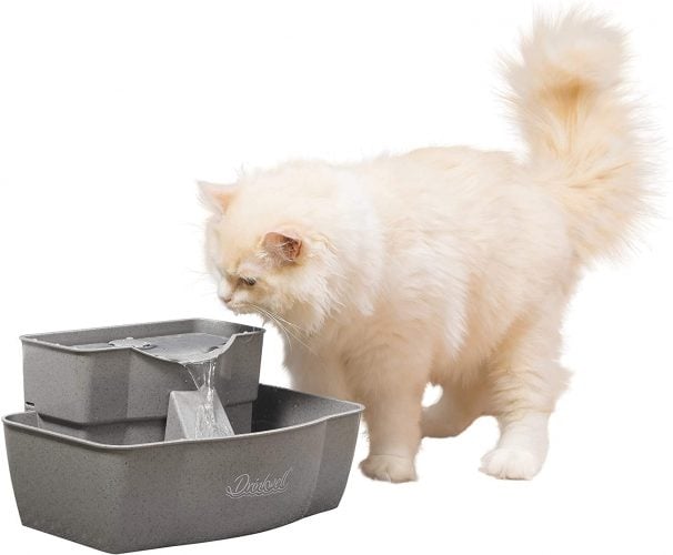 The 9 Best Dog Water Fountains to Buy in 2024 PetMag
