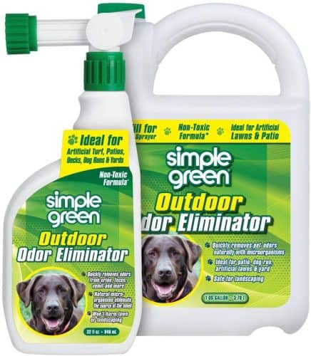 The 12 Best Pet Odor Neutralizers to Buy in 2022 - PetMag