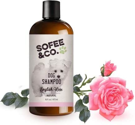Sofee & Co. Natural Dog Shampoo