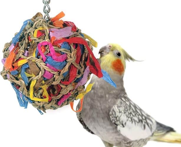 The 10 Best Cockatiel Toys to Buy in 2022 PetMag