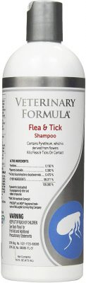Veterinary Formula Clinical Care Shampoo