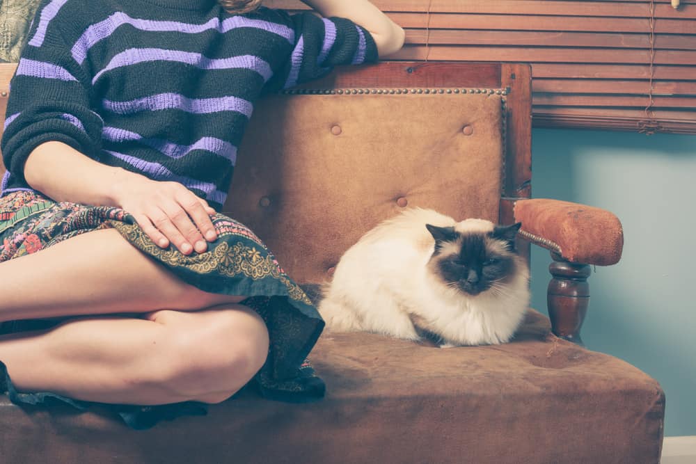 woman and cat relax on sofa