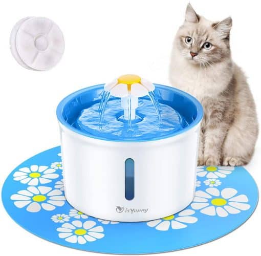 The 10 Best Cat Water Fountains to Buy in 2022 PetMag