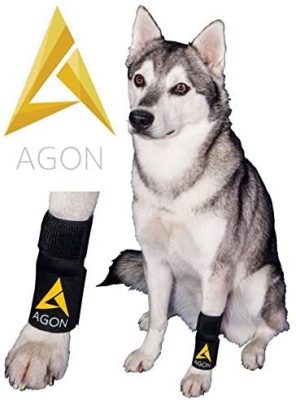 AGON Canine Front Leg Brace
