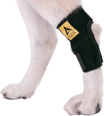 AGON Canine Rear Leg Joint Compression Wrap
