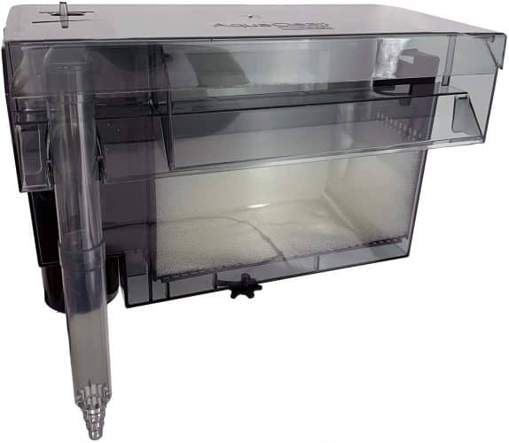 The 10 Best Filters for Turtle Tanks in 2024 PetMag
