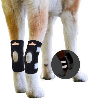 NeoAlly Dog Leg Brace
