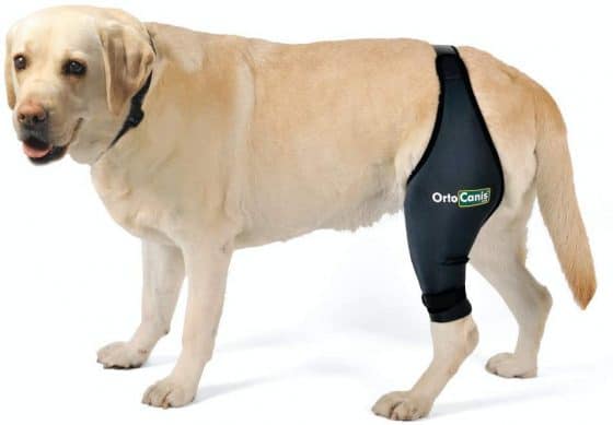 Ortocanis Original Knee Brace for Dogs