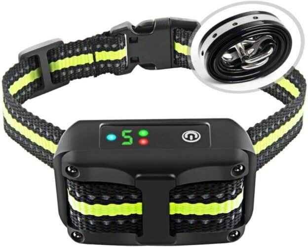 The 10 Best Shock Collars for Dogs to Buy in 2022 PetMag