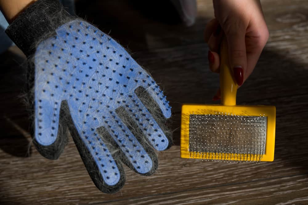 cat grooming brush and a cat grooming glove