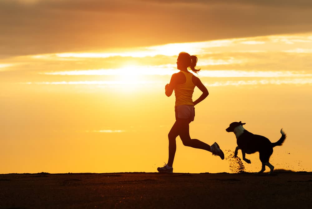 The 12 Best Dog Breeds for Running Short & Long Distances