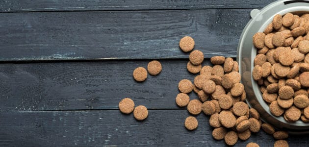 The 10 Best Organic Cat Foods in 2024