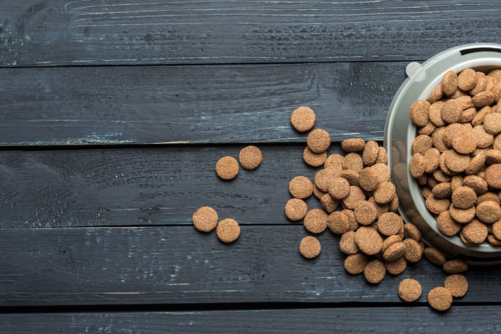 The 10 Best Organic Cat Foods in 2022 PetMag