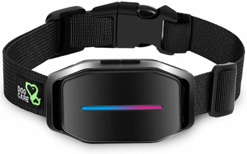 The 10 Best Shock Collars for Dogs to Buy in 2022 PetMag