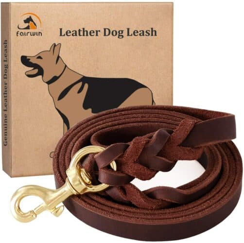 The 10 Best Dog Leashes In 2024 PetMag   Fairwin Leather Dog Leash 502x500 