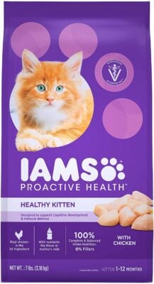 IAMS Proactive Health Kitten Dry Food
