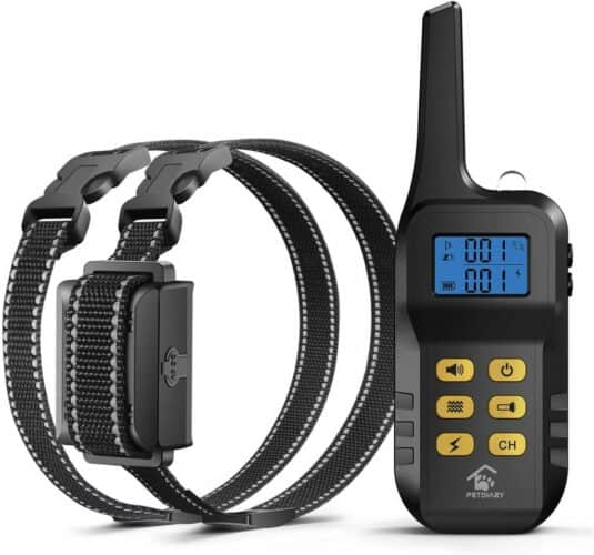 The 10 Best Shock Collars for Dogs to Buy in 2022 PetMag