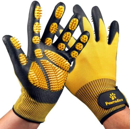 The 10 Best Cat Grooming Gloves to Buy in 2022 PetMag