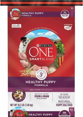 Purina One SmartBlend Healthy Puppy