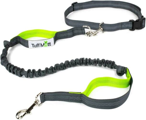 The 10 Best Dog Leashes in 2024 PetMag