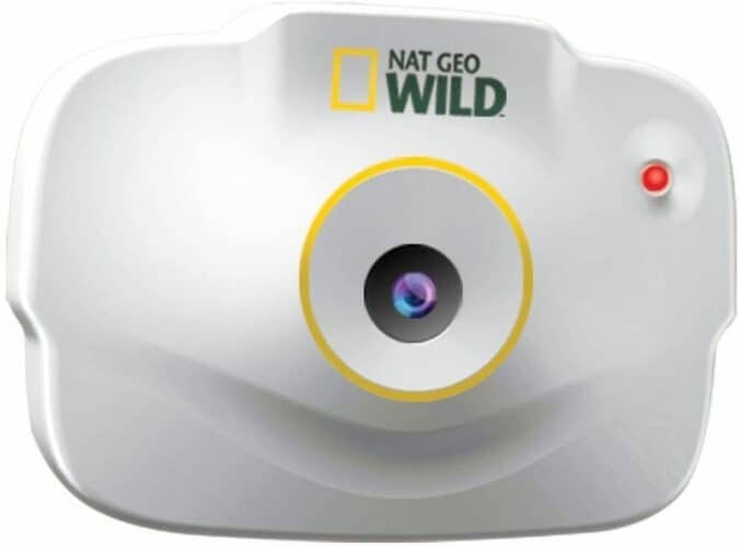 The 7 Best Cat Collar Cameras to Buy in 2024 PetMag