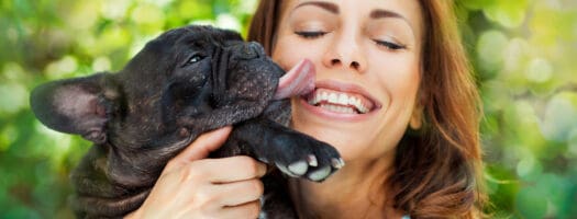 Why Do Dogs Lick Your Face?