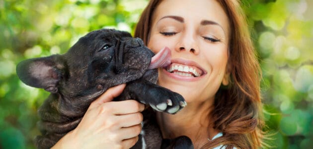Why Do Dogs Lick Your Face?