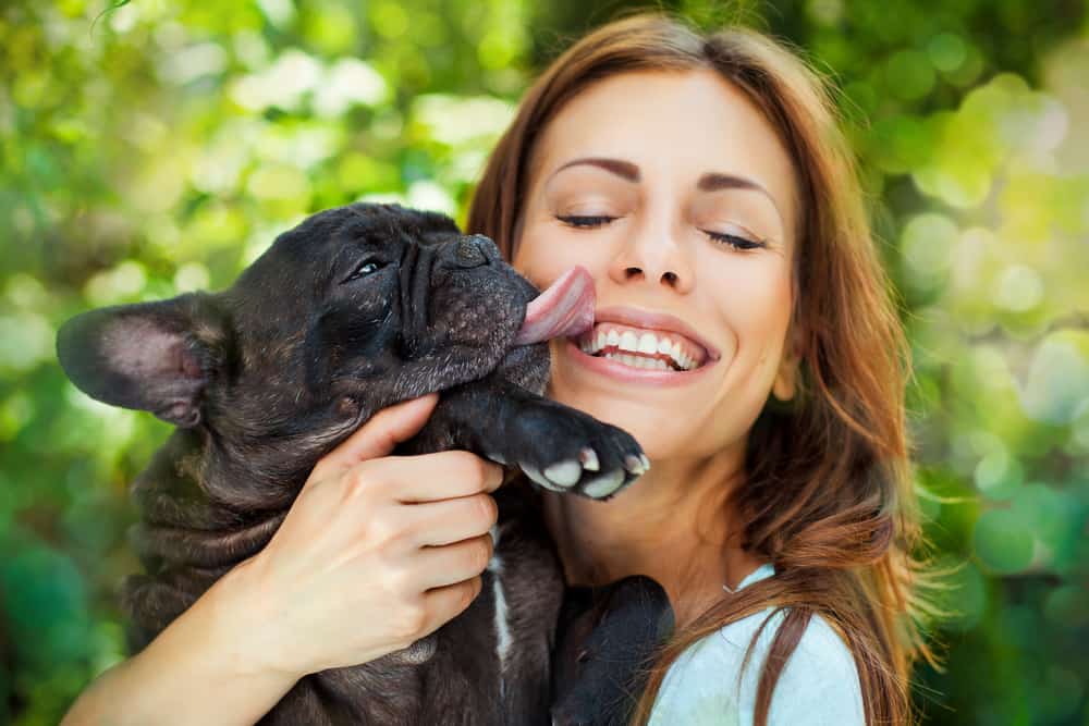 Why Do Dogs Lick Your Face PetMag