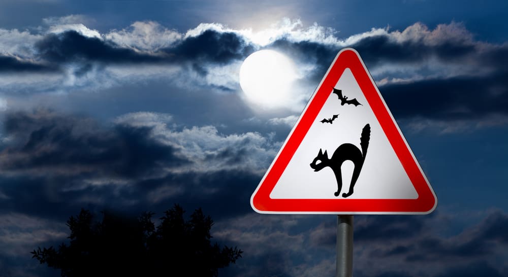 road sign warns of cats and bats