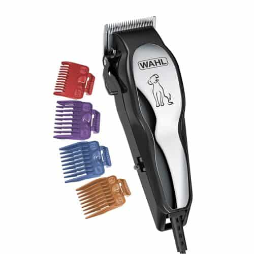 The 8 Best Electric Shavers for Cats in 2024 PetMag