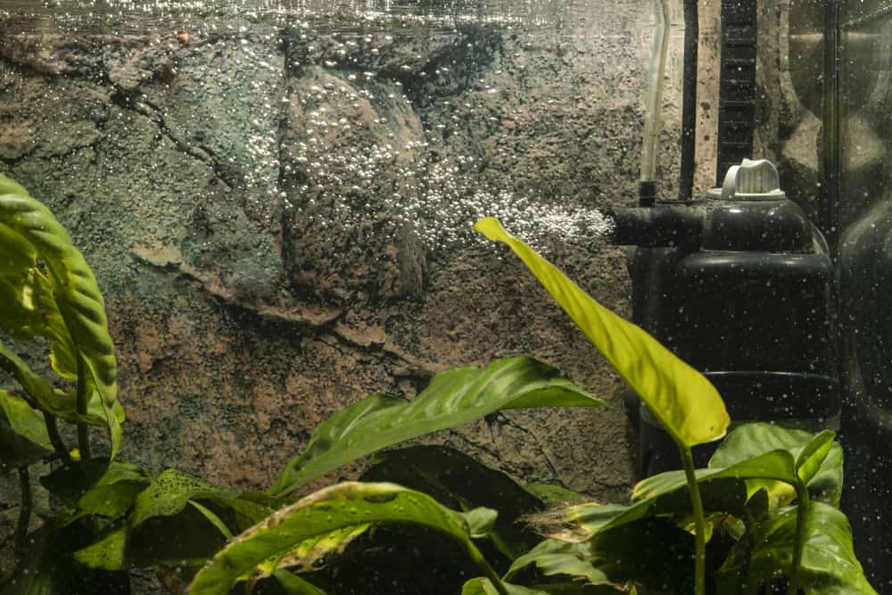 aquarium tank filter