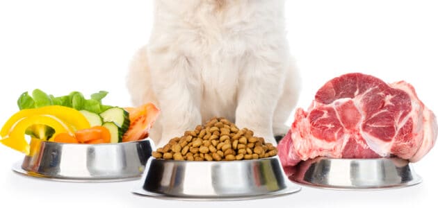 The 10 Best Organic Dog Foods in 2024