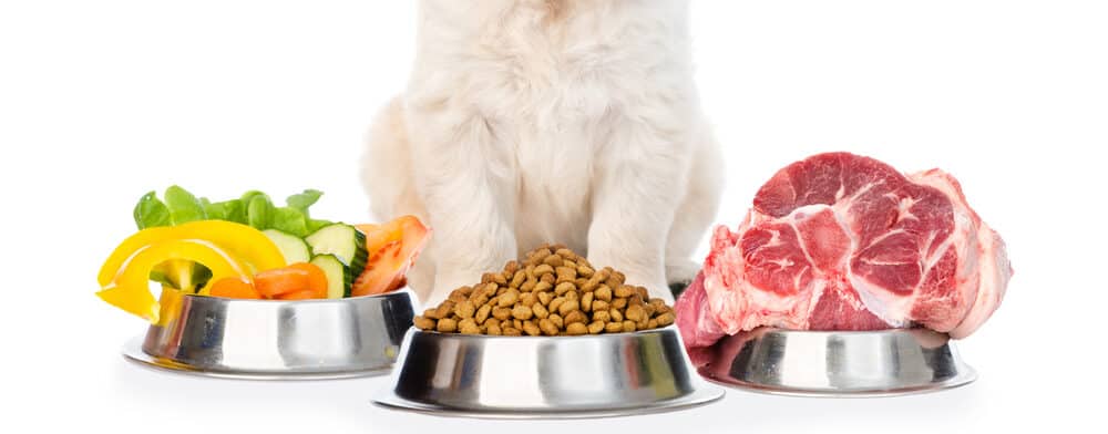 The 10 Best Organic Dog Foods In 2022 PetMag