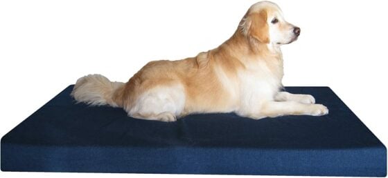 DogBed4Less Memory Foam Bed