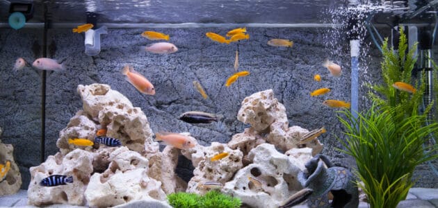 How to Lower Aquarium pH Levels the Safe Way